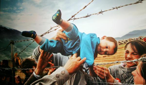 Utečenci v Kosove, Carol Guzy