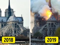 Zničený Notre-Dame v Paríži. Treba vedieť